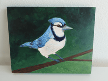 Load image into Gallery viewer, Blue Jay