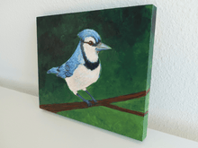 Load image into Gallery viewer, Blue Jay