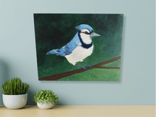 Load image into Gallery viewer, Blue Jay