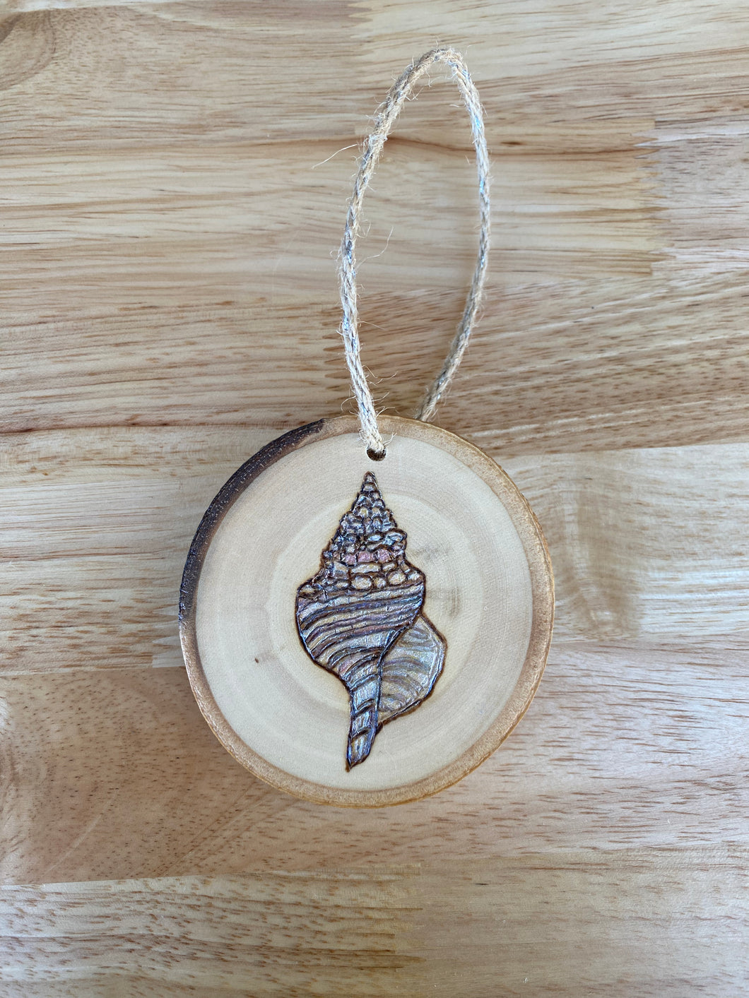 Tinted Cantharus Shell Wood Burned Ornament