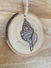 Load image into Gallery viewer, Tinted Cantharus Shell Wood Burned Ornament