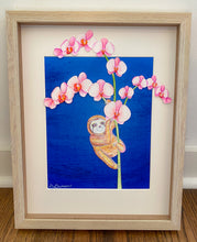 Load image into Gallery viewer, Sloth Orchid