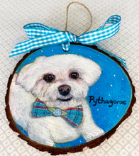 Load image into Gallery viewer, Special Occasion Painted (Round)