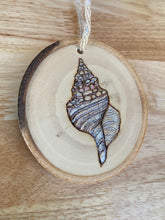 Load image into Gallery viewer, Tinted Cantharus Shell Wood Burned Ornament
